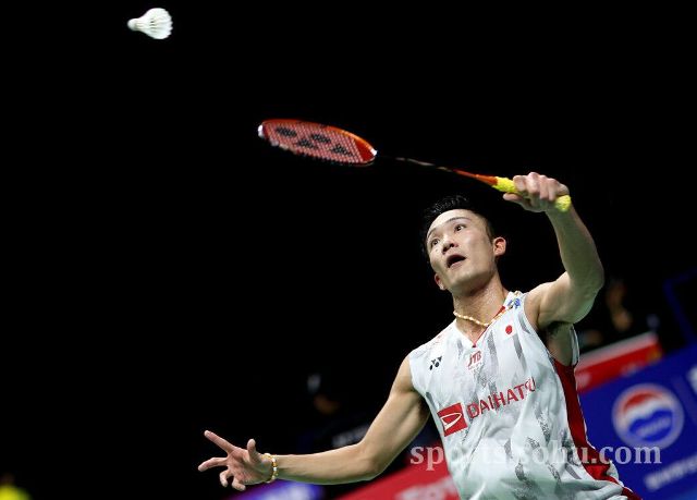 入了大量的 入了大量的