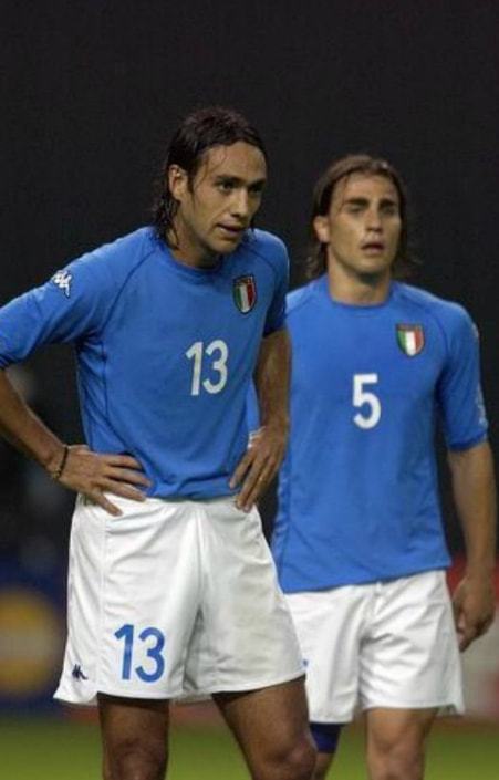 在谈到塞鸟 在谈到塞鸟