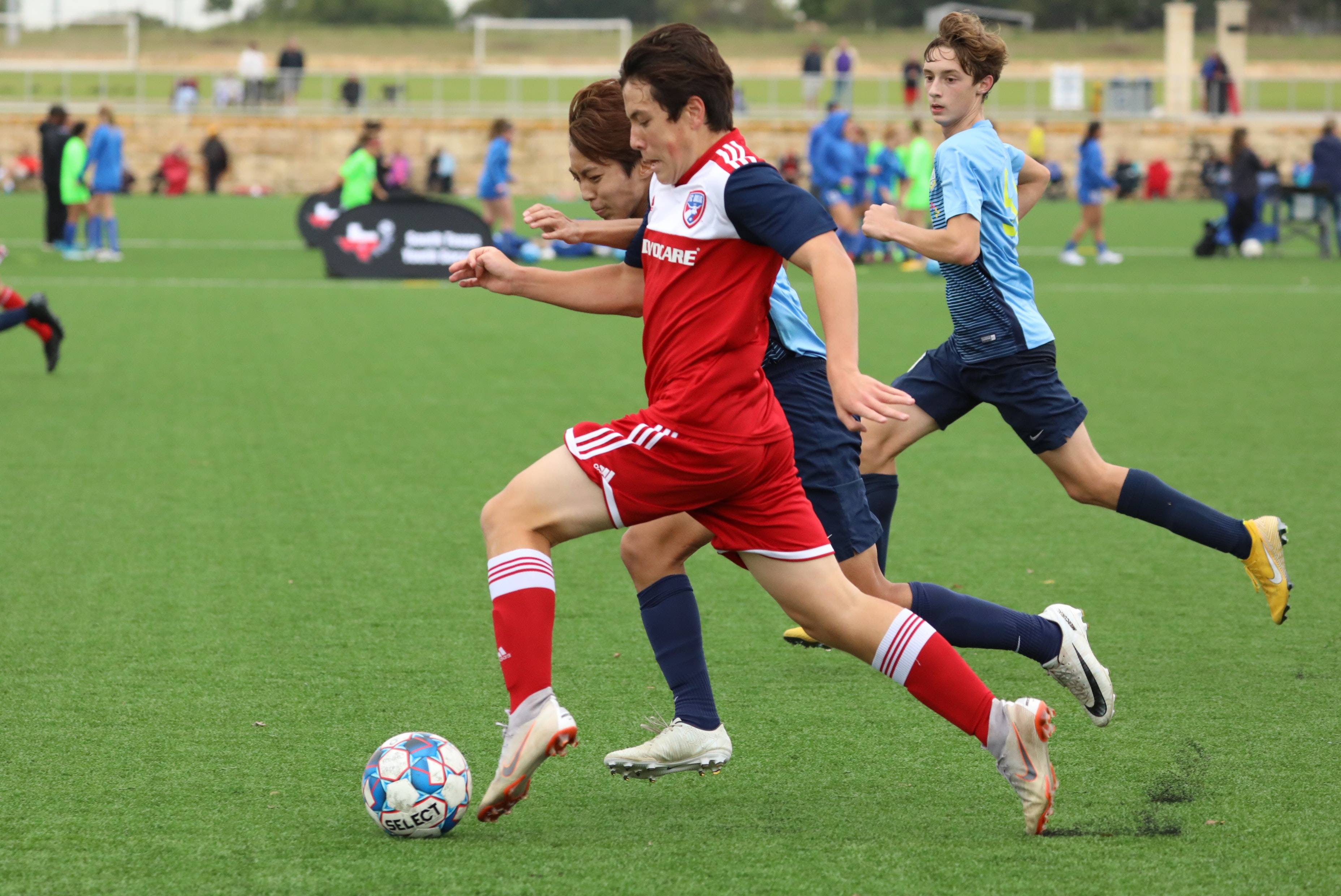 第九则稳固 第九则稳固